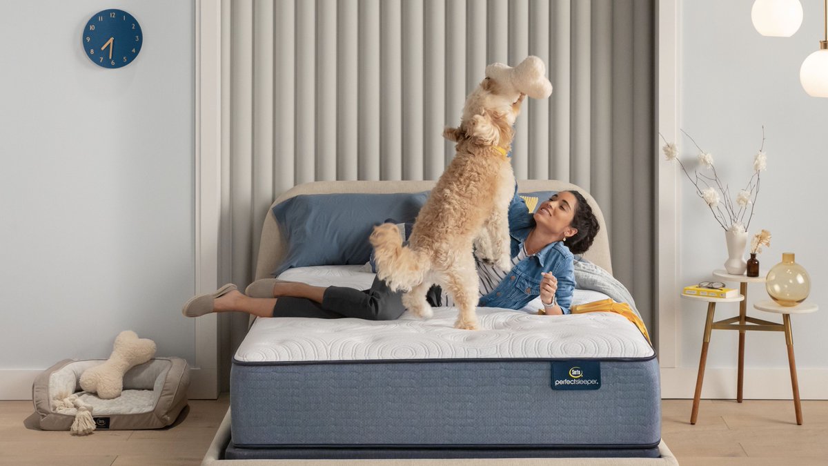 SertaMattresses's tweet photo. The all-new, enhanced Serta Perfect Sleeper® mattress provides even better pressure-relieving comfort and support that even your furriest of friends can't stay away. #CozywithSerta #PerfectSleeper

Shop our Perfect Sleeper line at https://t.co/ncZE6HVJPi https://t.co/CT5ECJKY1j