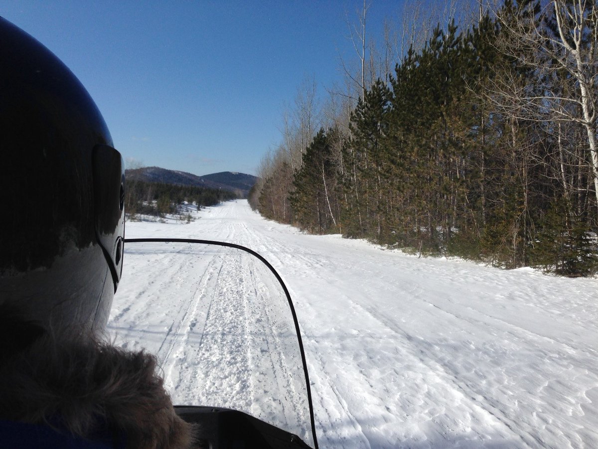 HealthyForestP1's tweet photo. Our #SpruceBudworm Early Intervention Strategy technicians work long days in all types of weather.  This is one of the bluebird days! For more information on our research, go to https://t.co/a0y78WUCtR. https://t.co/xdVCKp48nS