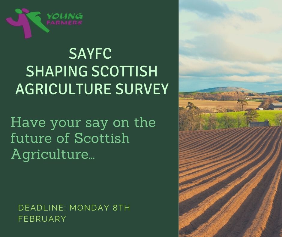 With Scottish Parliament elections taking place in May, SAYFC plan to create a manifesto to put forward our vision for Scottish Agriculture... We need the views of our members! Complete our 5 minute survey via the link below #sayfcagri #sayfc #yfinaction

forms.office.com/Pages/Response…