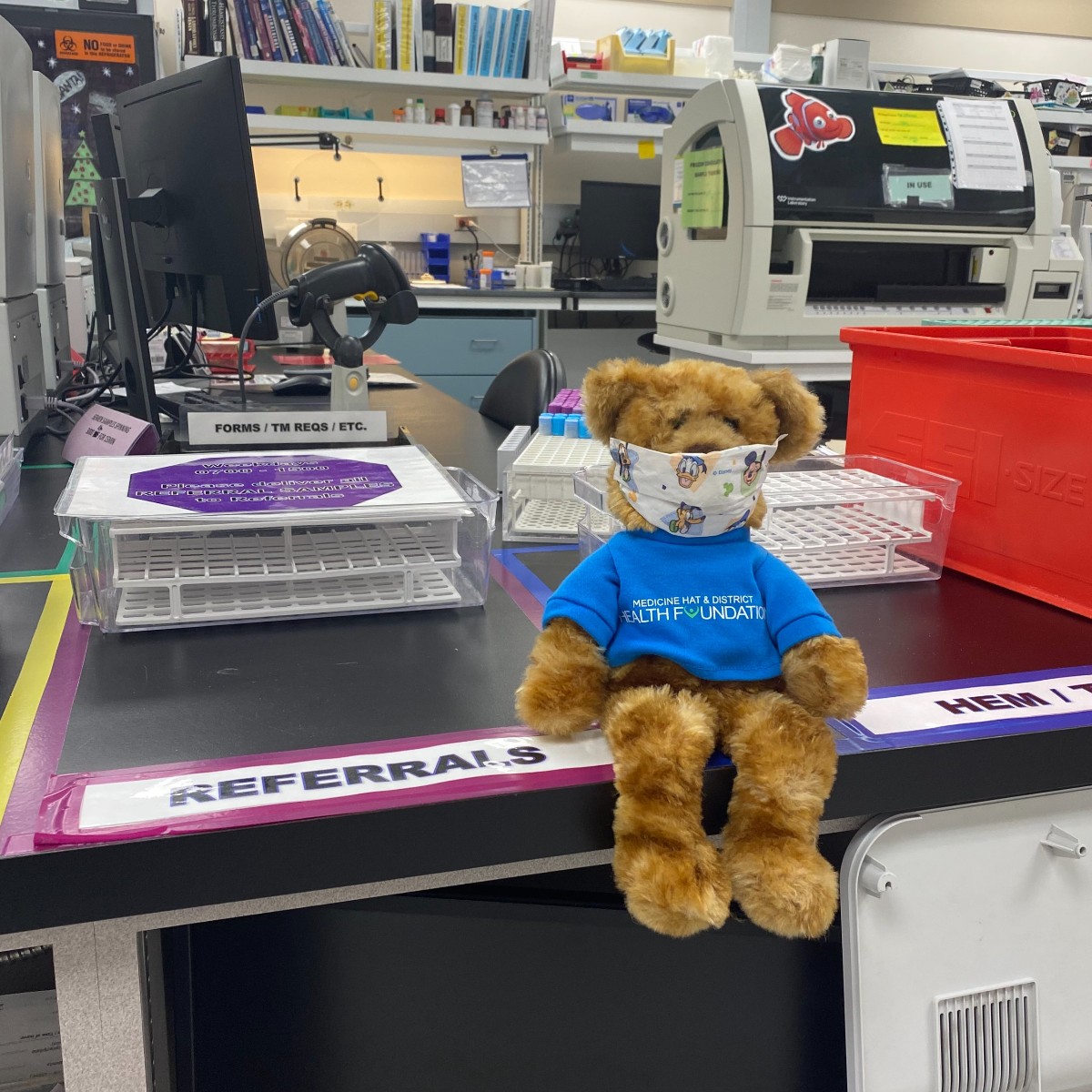 MHDHFoundation's tweet photo. After Hope's visit to the lab, she reviewed her stuffing with staff in Hematology. Hope's levels of sugar and spice were just right. She was now ready to visit a new part of hospital. 

#GiftofHope #HealthcareHeroes https://t.co/1dwh3DxRPG