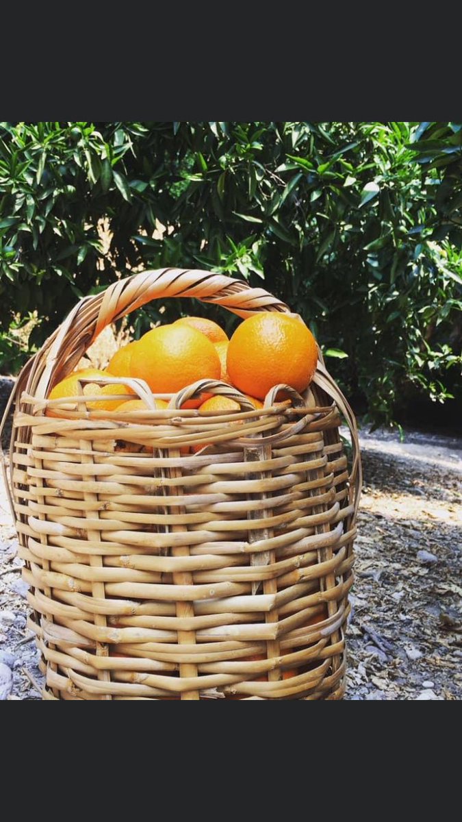 #sebzeyekotaüretimibitirir