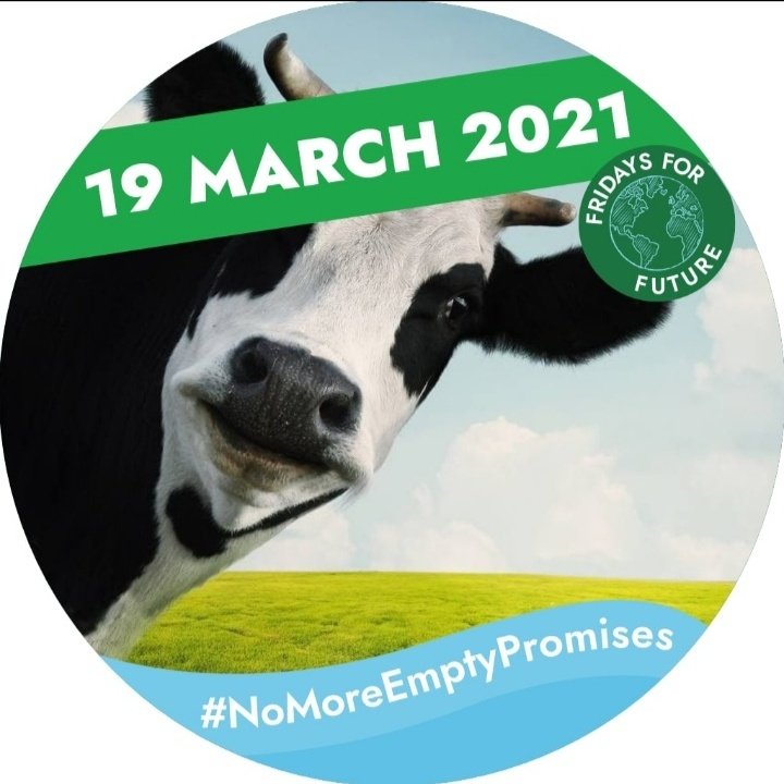 LuisaZittle's tweet photo. #TeamCows #NoMoreEmptyPromises https://t.co/8SliHW98hg