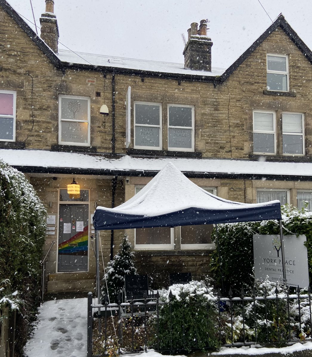 Beautiful but very disruptive!