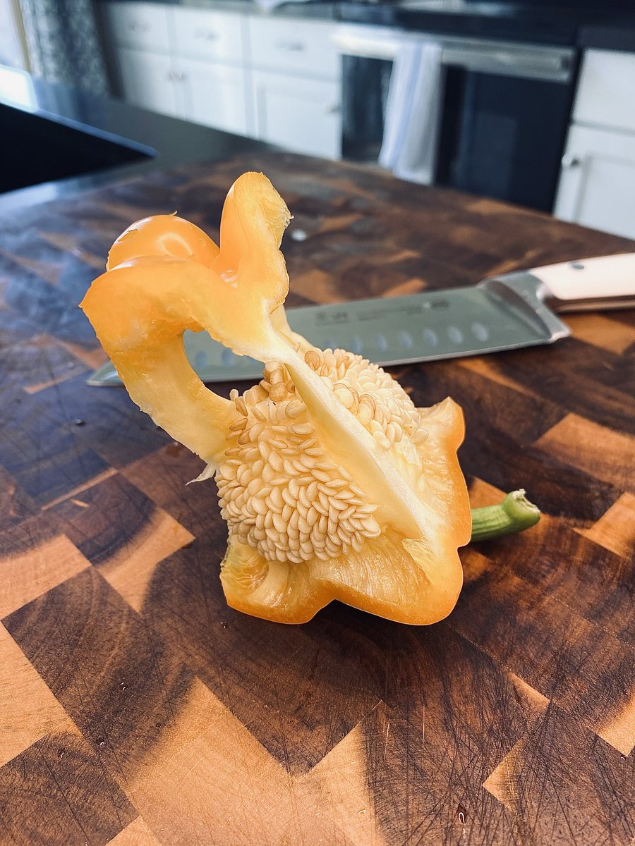 When was the last time you looked at the inside of a bell pepper. Pretty cool huh! 

#pepper #cooking #satisfying #food