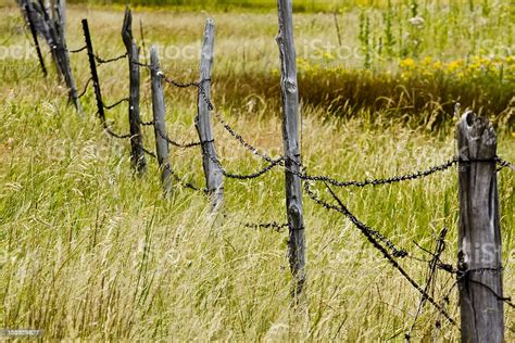 bradcrosswhite's tweet photo. @CBS_Herridge  This is a Barbed Wire Fence https://t.co/SmHbsZNUtJ