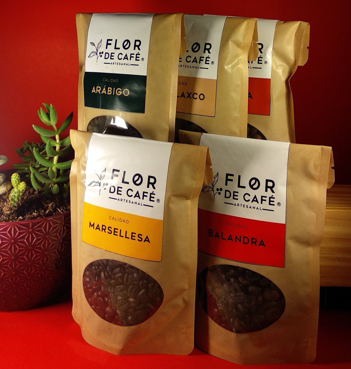 GVibesGCoffee's tweet photo. Kit de Degustación $160 (500gr) 5 Variedades de Café

#robusta #arabica #arabiga #marsellesa https://t.co/CnNoH4NOXj