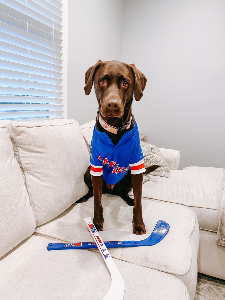MikeAve10's tweet photo. Ranger and AJ are ready for the puck to drop #LGR @NYRangers https://t.co/WXwIrMcuED