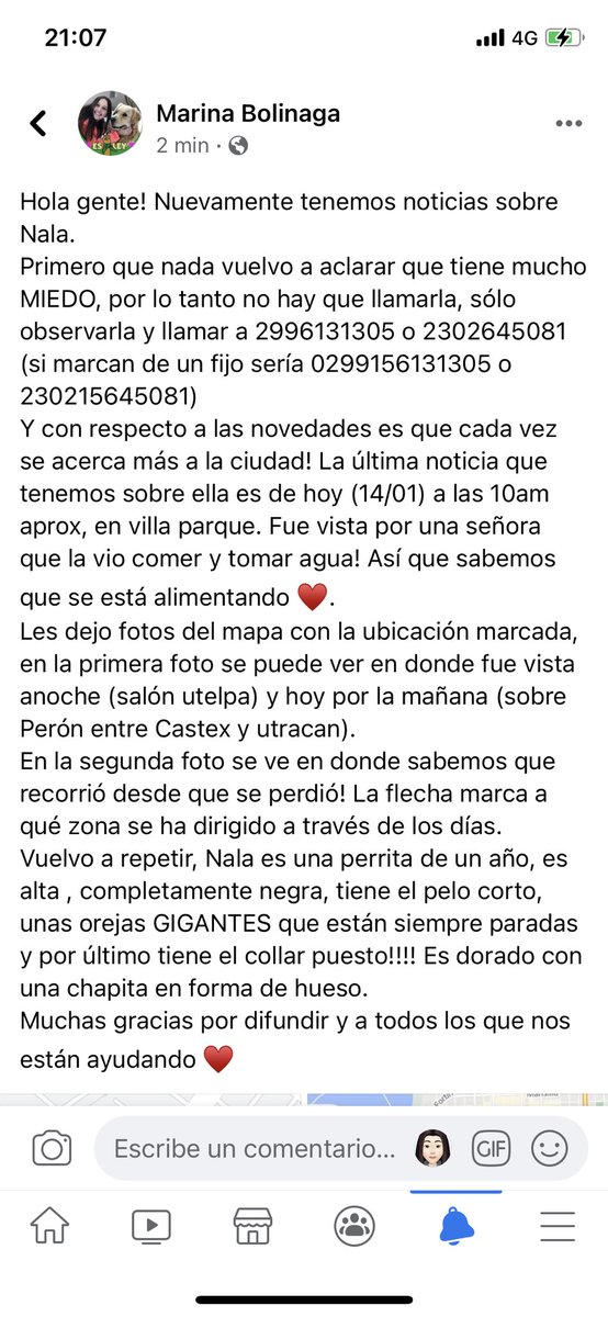marina_bolinaga's tweet photo. BUSCAMOS A NALA EN SANTA ROSA https://t.co/nr3b10TAGO