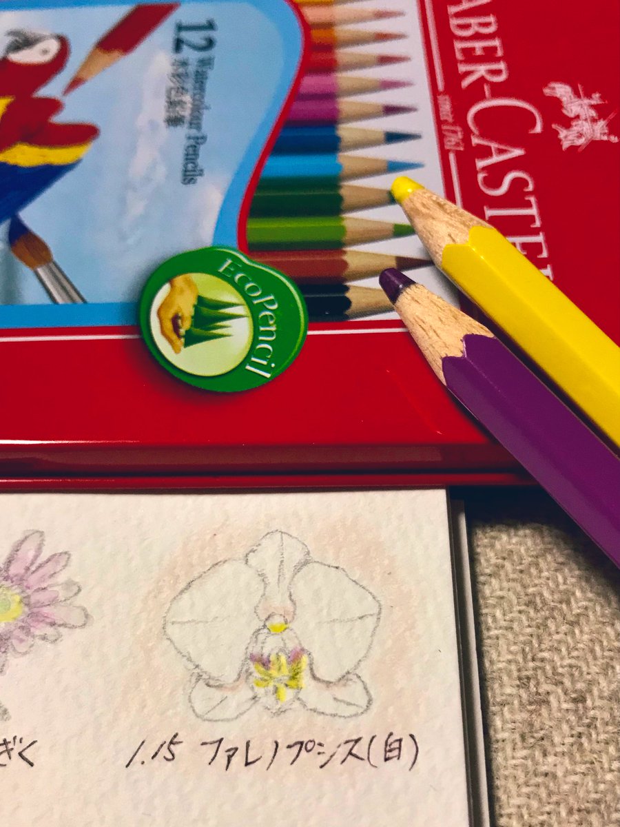 Atelier M Birthday Flowers 1月15日の誕生花は ファレノプシス 白 花言葉は 清純 幸福が飛んでくる など お誕生日の皆さん おめでとうございます 左右に大きく広がったお花は蝶の羽のよう 白花はブライダルブーケなどに 1月15日誕生日