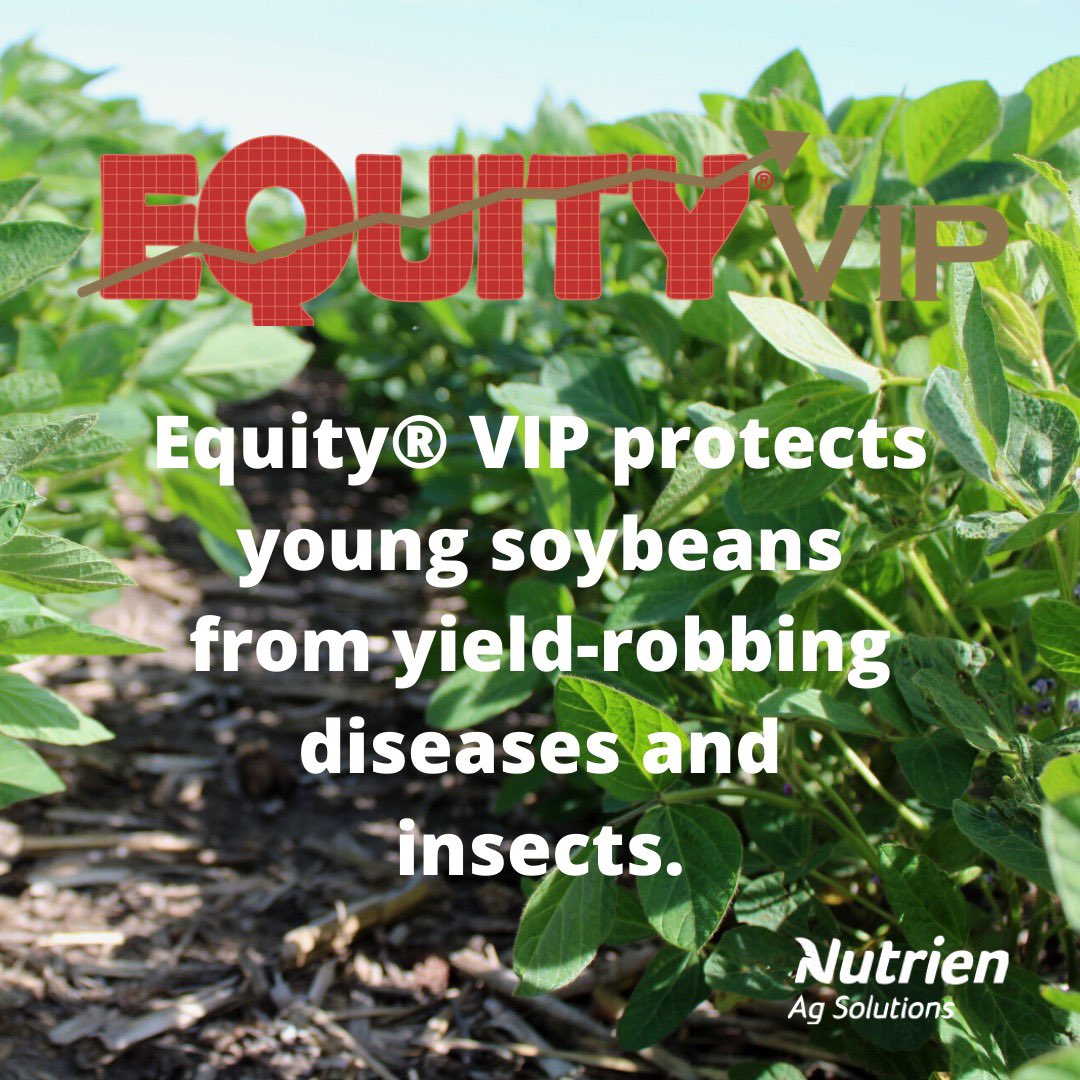 Give your beans a stronger start with Equity VIP seed treatment.

Contact your local Nutrien Ag Solutions dealer to learn more about Equity VIP: nutrienagsolutions.com/find-location 

#LeadingTheField