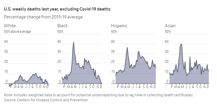 What they do get right is that minorities and socioeconomically compromised people have borne the brunt of these non-COVID deaths. And it's not difficult to understand why.The effects of lockdowns are not evenly distributed.  https://www.ncbi.nlm.nih.gov/pmc/articles/PMC7417923/