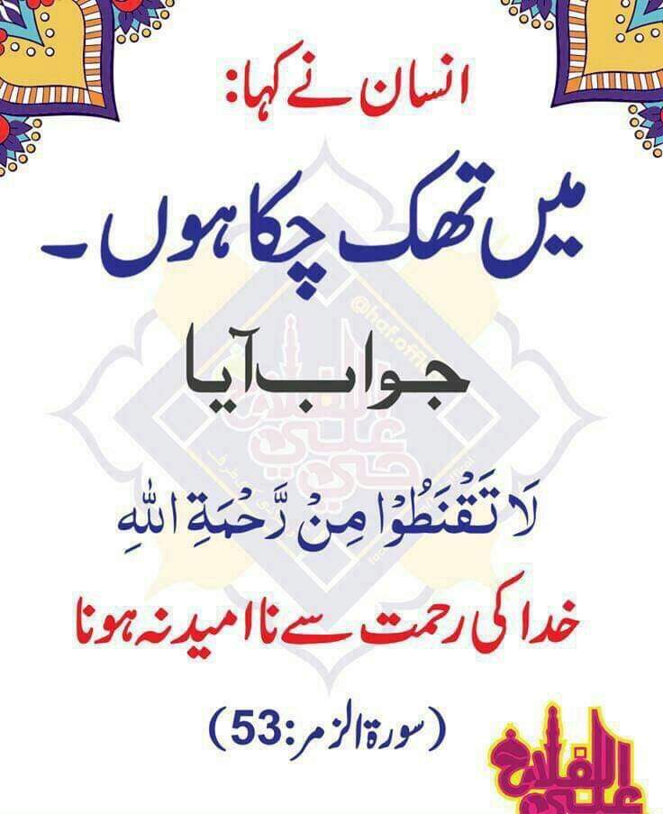 mfayyazraja's tweet photo. ٹی وی چینل سے نوکری ختم ہوئے 6 ماہ مکمل، یوٹیوب چینل چلاتے 5 ماہ ہوگئے.
بیٹی نے پوچھا، یو ٹیوب سے آپ سب کرسکیں گے. میں نے کہا بیٹی، جو اوپر بیٹھا ہے، وہ کہانی بدلے گا انشا اللہ.. https://t.co/25aDsDvNtU