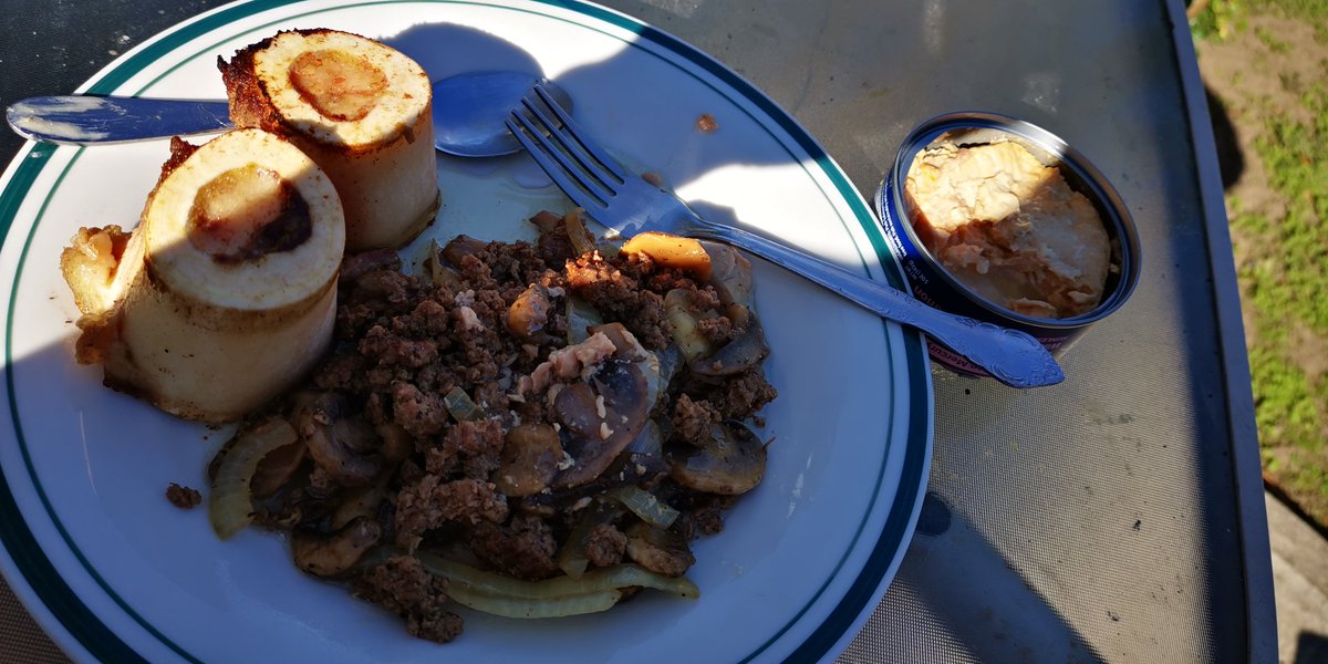 Complete "break fast" of 18hrs and 3hrs of tennis in fasted state. Ground water buffalo, spleen, heart, liver, kidney, etc. Cod liver, bone marrow, salmon and back to sun outdoors. Does it get any better? #nosetotail #meatheals #sunheals #fitover50