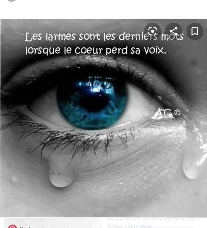 Beverlykeissy's tweet photo. #NouvellePhotoDeProfil https://t.co/jS9dUzVxKZ