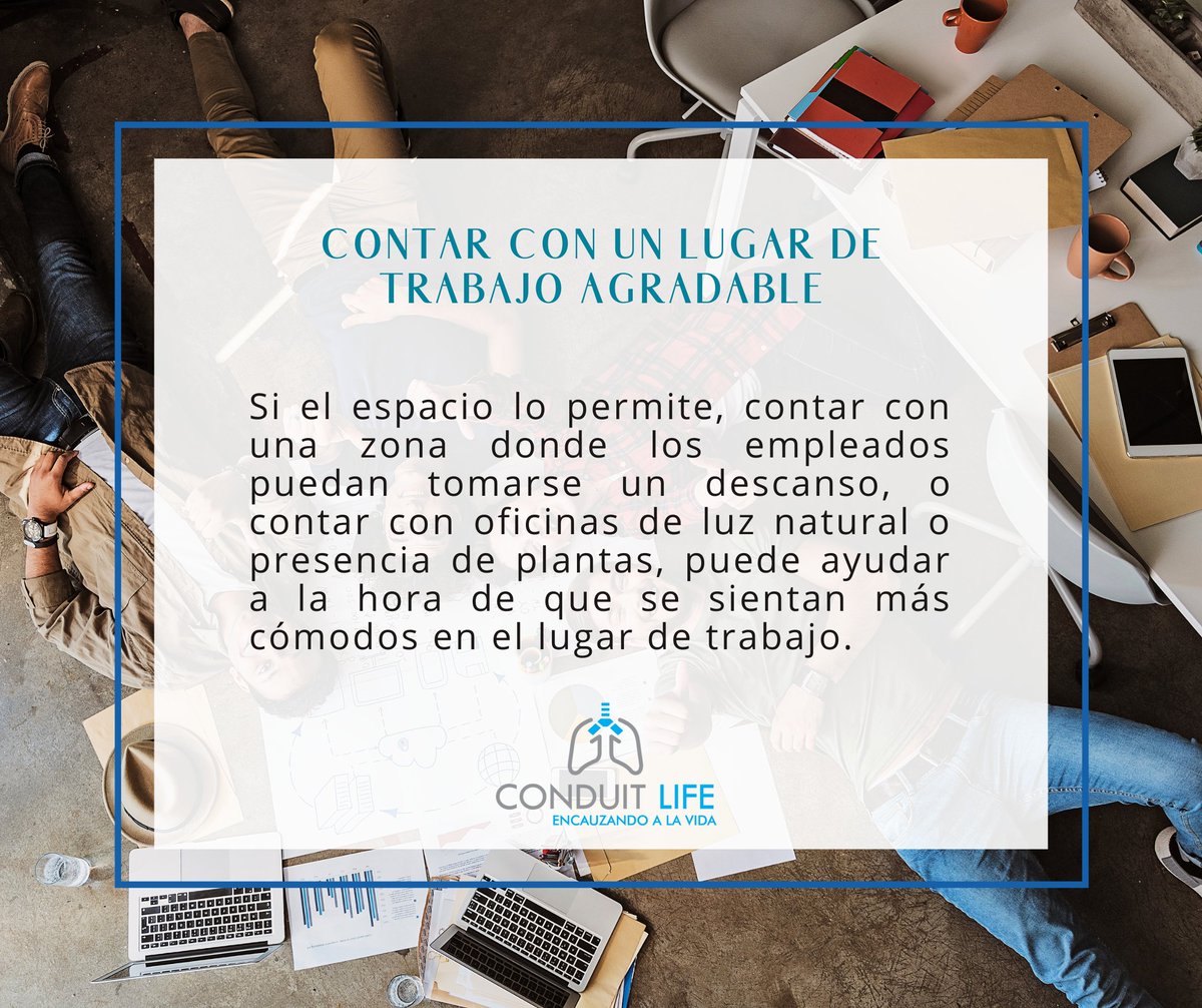 conduit_life's tweet photo. 💡Te has preguntado ¿cuáles son los elementos que hacen sentir bien a tus colaboradores sin necesidad de que sea aumentos en su salario?🤗
🎯Aquí, te dejamos algunos ejemplos de #salarioemocional que puedes usar para aumentar la motivación. 
#Motivacion  #Líder #Responsabilidad https://t.co/thxE4dCC0E