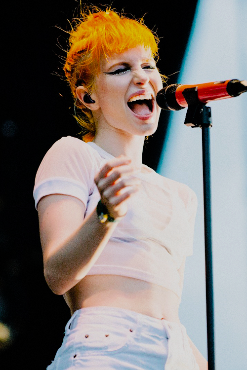 picsofhayley's tweet photo. 📷 paramore performing at hangout music fest (2015) https://t.co/Bdbi7wcfoL