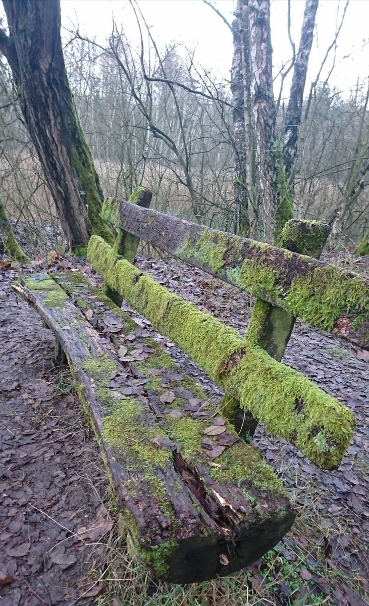 Laßt vergehn, was vergeht!
Es vergeht, um wiederzukehren,
es altert, um sich zu verjüngen,
es trennt sich, um sich inniger zu vereinigen,
es stirbt, um lebendiger zu werden.

Friedrich Hölderlin