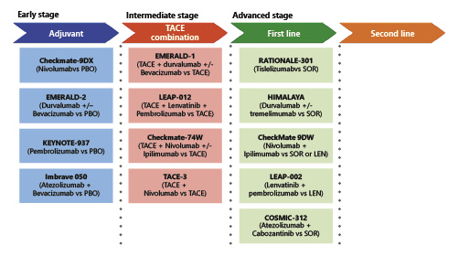 Dr_Ivanoncologo's tweet photo. #RecentAdvances in #SystemicTherapy for #HepatocellularCarcinoma in an #AgingSociety: #2020Update
https://t.co/NjQJRibOZJ
@BZavaletaMD @ESchattner @PSUrol https://t.co/70imYpKEgM