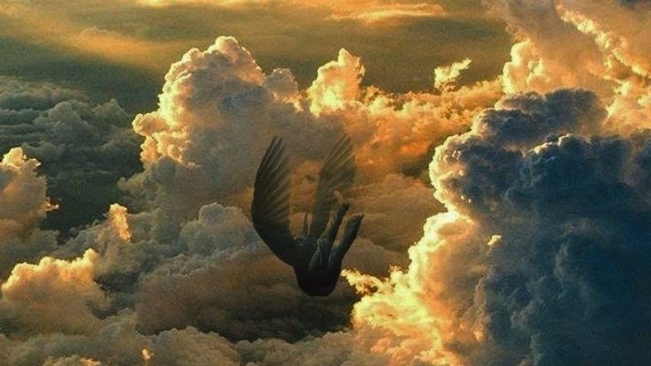 blndth's tweet photo. ㅤ

             ▐  The  encounter  with  death
                     : @hellngl   Monorol  〜

ㅤ https://t.co/eOoJl1spN0