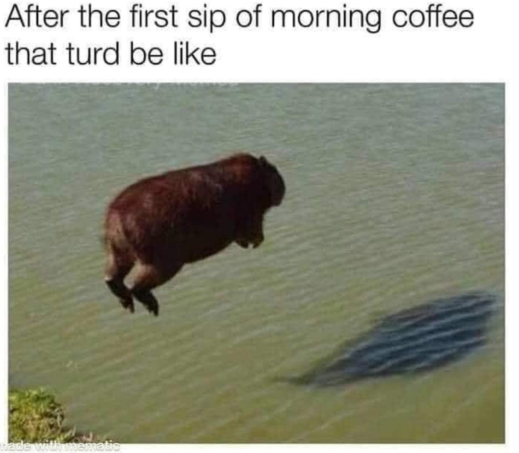 FormerFIBber's tweet photo. wine(welch's) is a mocker. *coffee* is rager whosoever is deceived thereby is not wise(to go running without pooping first)
#rfpfam #coffee #kjvo #jkv #oldpaths #moldpaths #trump2020 #trump202won #biden2020 #biden2021 #baptist #liberal #conservative #dem #rep #coffee https://t.co/tCszf19HUt