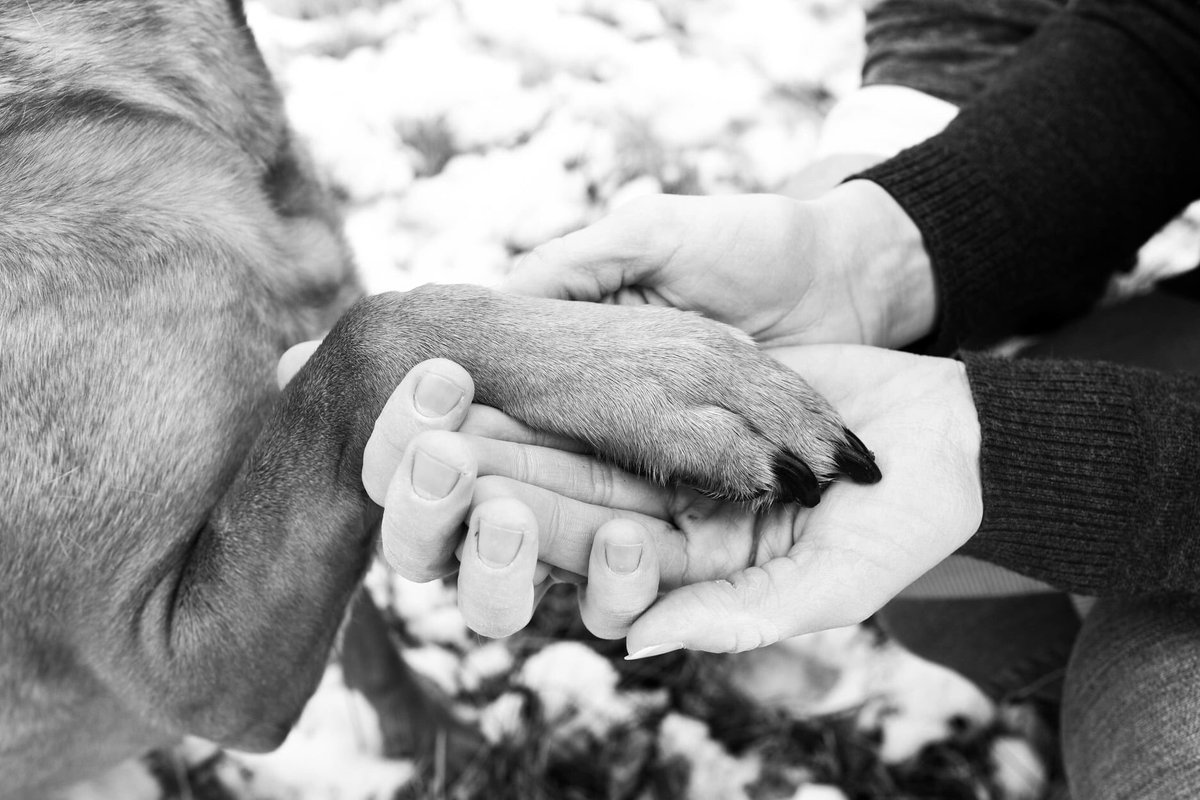 Jennifer Starr tweet media