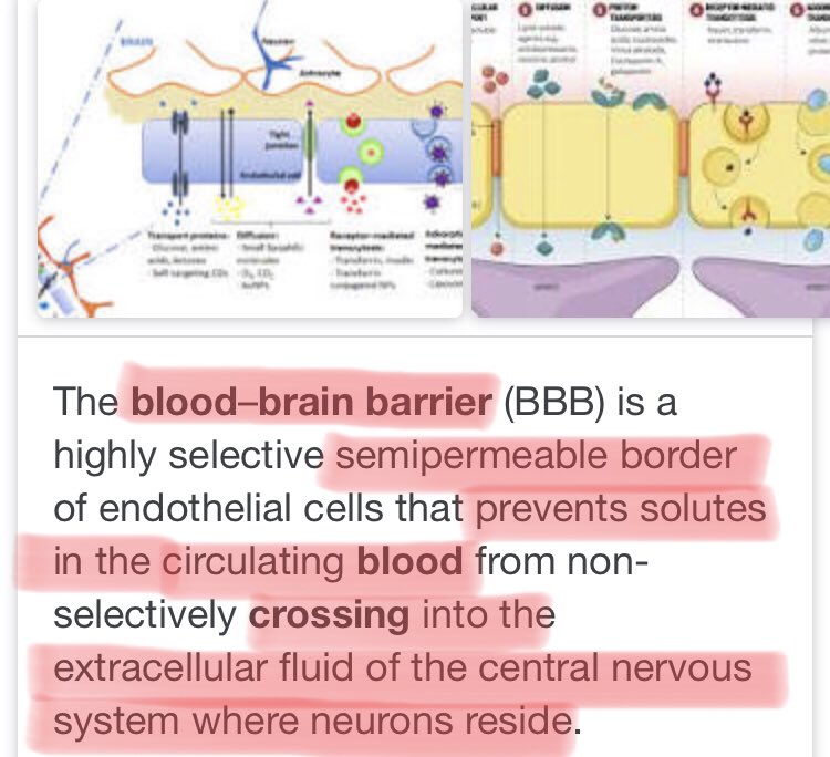  #RENE One of the brilliant things which Exosomes do is they have the ability to pass through the Blood Brain Barrier delivering signals and regulation into the Brain This is extremely difficult to do and most drug delivery mechanisms fail to do this