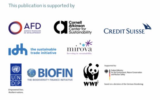 ConvenerNatureP's tweet photo. The Little Book of Investing in Nature.
A really great compendium of approaches & options on how to invest in #nature & #biodiversity
@AFD_en @AFD_France @RiouxRemy @UNDPbiofin @AtkinsonCenter @CreditSuisse @Mirova_RI @bmu @mremae @JohnTobinBridge #LBIN
https://t.co/CjJxIY9UNy https://t.co/bwHJhpOt6Z