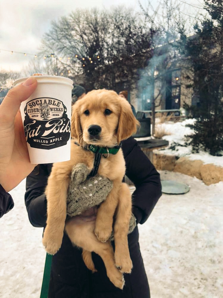 SociableCider's tweet photo. No shortage of hot cider, fire pits, or pup sightings here at Sociable.

Check out our taproom rules, protocols, and happenings here: https://t.co/A07lJ7r8sG https://t.co/R1msTCXMlN
