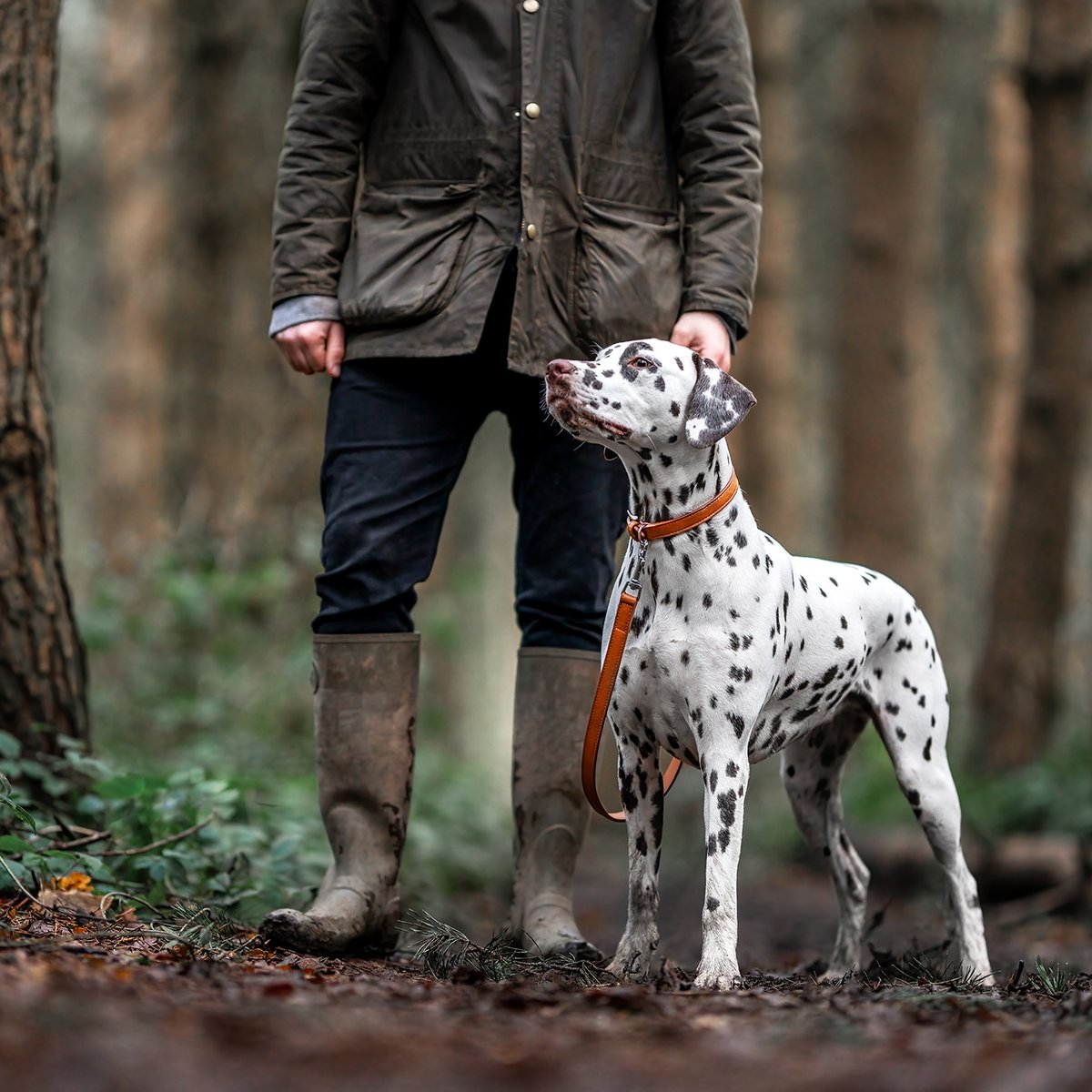 ProjectBluCo's tweet photo. Project Blu has officially launched in the USA! 🇺🇸
10 brand new styles of #sustainable dog collars, leashes and poobag holders are now available for USA and UK customers right here: https://t.co/ewlwBB16te Many are created in partnership with the sensational @ELeatherGroup ⁠🐶 https://t.co/o1tOx6nwFG