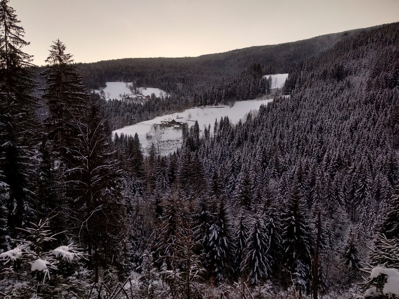 elafurst's tweet photo. Social Distancing this winter in 2021. https://t.co/JNab3K15pl
