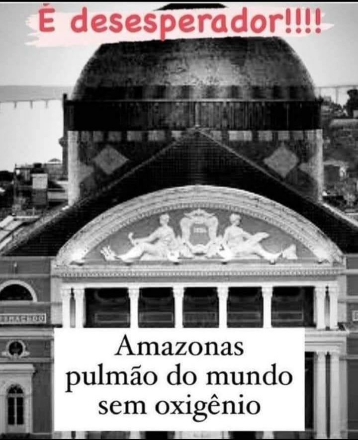 𝐓𝐫𝐚𝐧𝐬 𝐀𝐦𝐚𝐳𝐨𝐧𝐢𝐜𝐚🏳️‍⚧️ (@gisellepachecot) on Twitter photo 