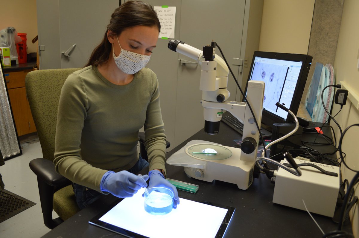 UNT College of Science tweet media