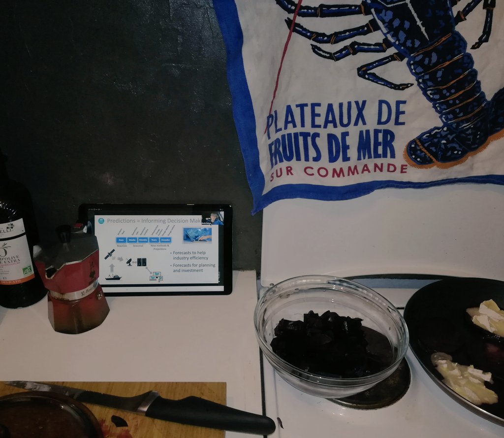 PyHernvann's tweet image. ... Me in my kitchen 🍽️🍷 listening to @eafulton in her car 🚗
An exciting series of lectures on #EcosystemModelling has started! ...led by Ecopath&apos;s daddies Villy Christensen @Ecopath @UBCoceans &amp;amp; Carl Walters and a great team of #EwE experts!