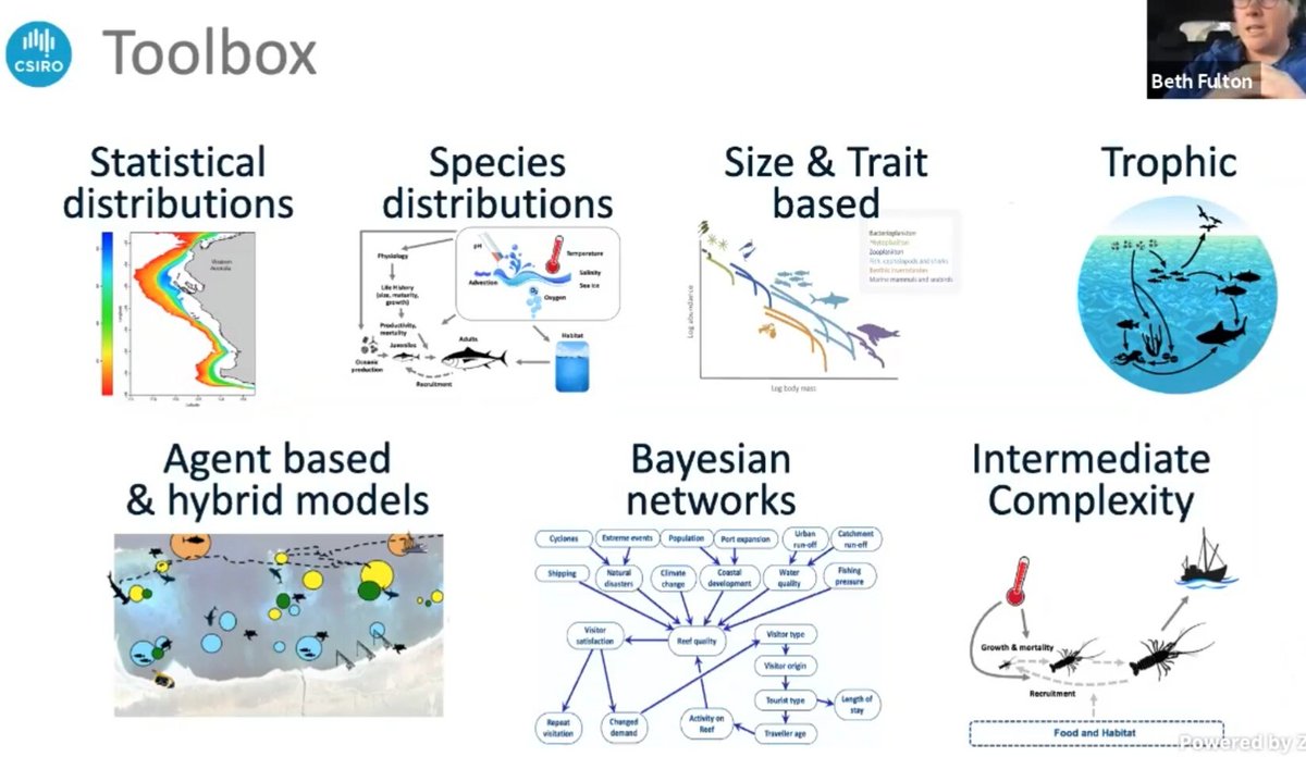 PyHernvann's tweet image. ... Me in my kitchen 🍽️🍷 listening to @eafulton in her car 🚗
An exciting series of lectures on #EcosystemModelling has started! ...led by Ecopath&apos;s daddies Villy Christensen @Ecopath @UBCoceans &amp;amp; Carl Walters and a great team of #EwE experts!