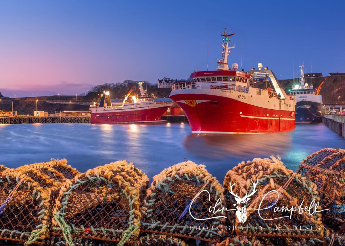 willzcal's tweet photo. What a difference a year makes, a year ago today the Venture was landing into Scrabster market, prices were very strong, highlights with ling upto £198 a box and coley £140 per box, with all species fetching very good prices, today the same fish is making £40 a box, #brexit #fkup https://t.co/DdtUFP06OF