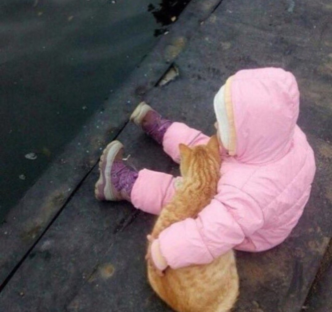 Thelan (@_pandagram) on Twitter photo 