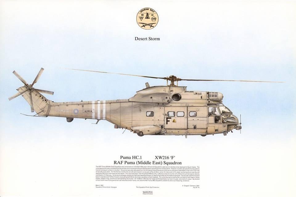33SqnRAF's tweet photo. As part of the anniversary for #DesertStorm30 we have temporarily changed our  header picture to reflect the RAF Puma (Middle East) Squadron.  
#Loyalty https://t.co/92Od4lJfor