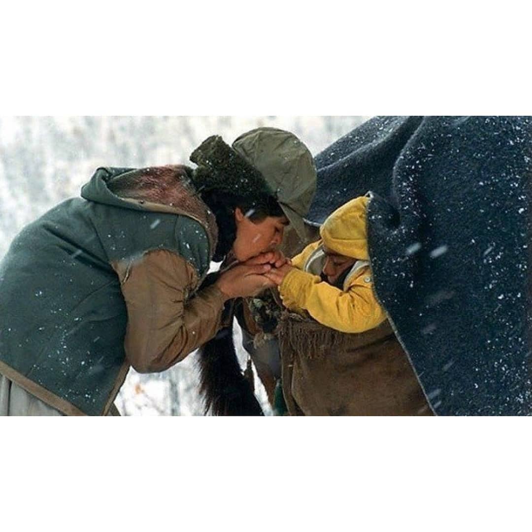 #Fotoğraf 📍"bir atın umudu yoktur. Onu sırtında taşıyan kamçının umutsuzluğu yürütür. Bizim hikayemiz de biraz böyle....