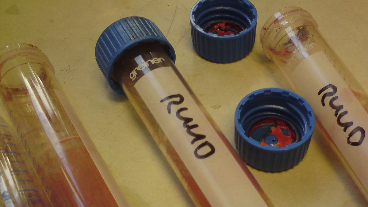 Book of War, Mortification and Love. Specimen of Fakir  @underware printed with the author’s blood  https://underware.nl/publications/the_book_of_war_mortification_and_love/