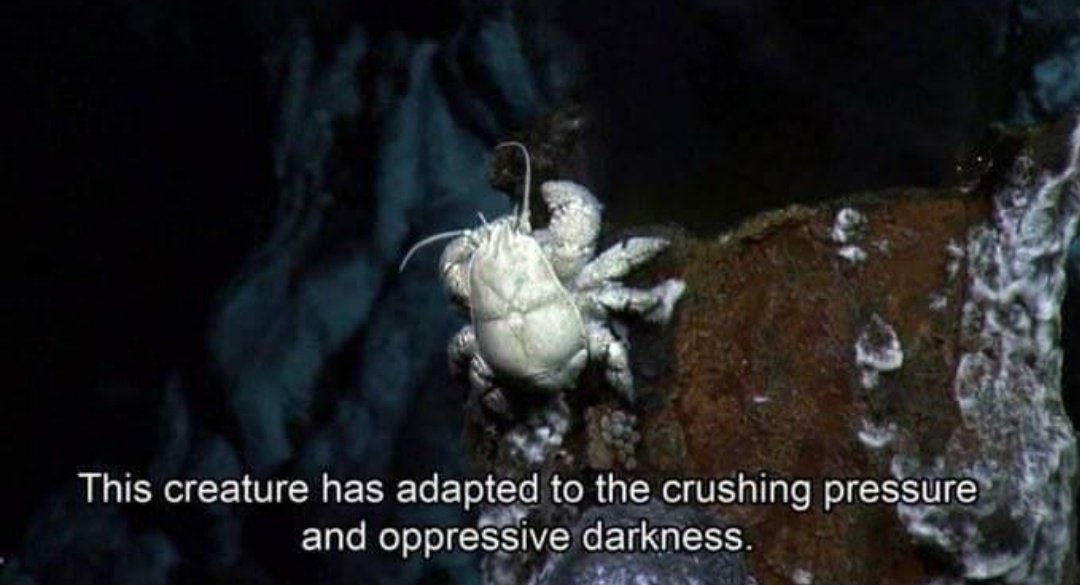 Ordering my 3rd <a href="/craftcentral/">CraftCentral.ie</a> order of 2021.