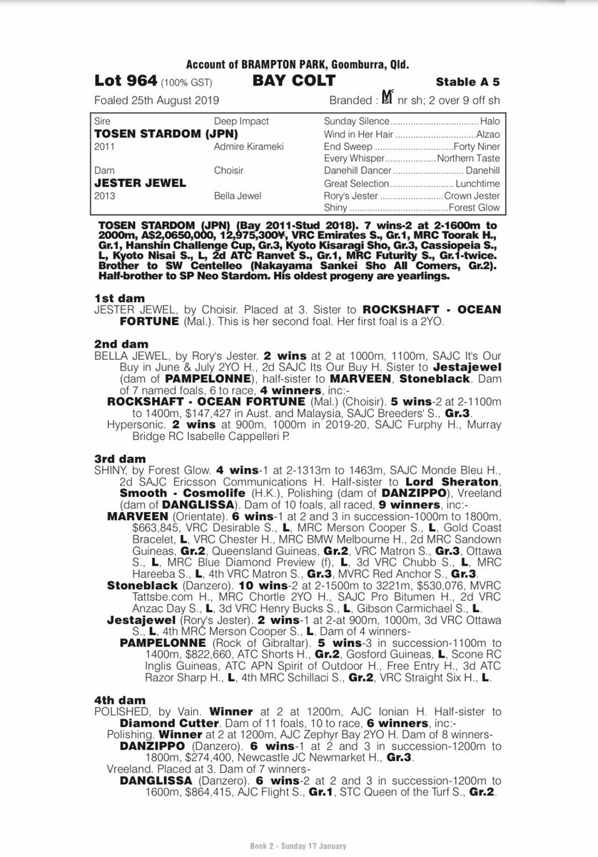 sjmccann1's tweet photo. Lot 964 Tosen Stardom x Jester Jewel Colt on complex and ready to parade ! Come and see us in Barn A @Woodside_Park @mmsnippets https://t.co/MNNAYzQ2lK
