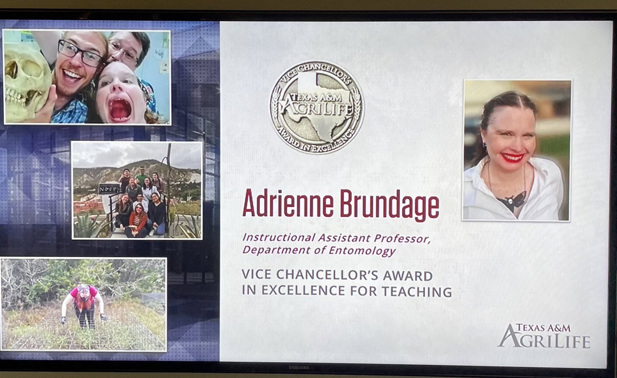 Phil Kaufman tweet media