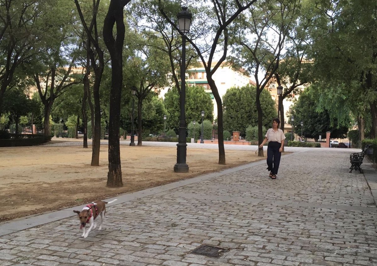 Por aquí un texto sobre situaciones tóxicas, desagradables y de cero empatía que por desgracia se dan en el entorno laboral. Me ha costado mucho hablar sobre esto pero mayor es la satisfacción de ver que la sensación es compartida. Ojalá sirva de ayuda. 🤞🏼
instagram.com/p/CKBWKrjjiqJ/…