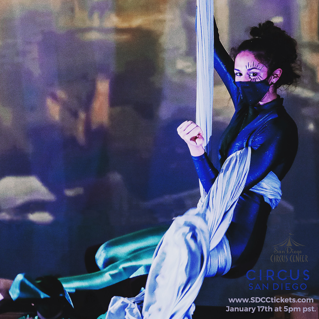 3 Days until our WINTER online SHOW - TO PURCHASE A TICKET:
SDCCtickets.com
Show time: 1/17/2021 5pm pst.

Using live location and multi-media for production has been amazing to express our art!

Please join us and share!

Photo: Melisande Martin