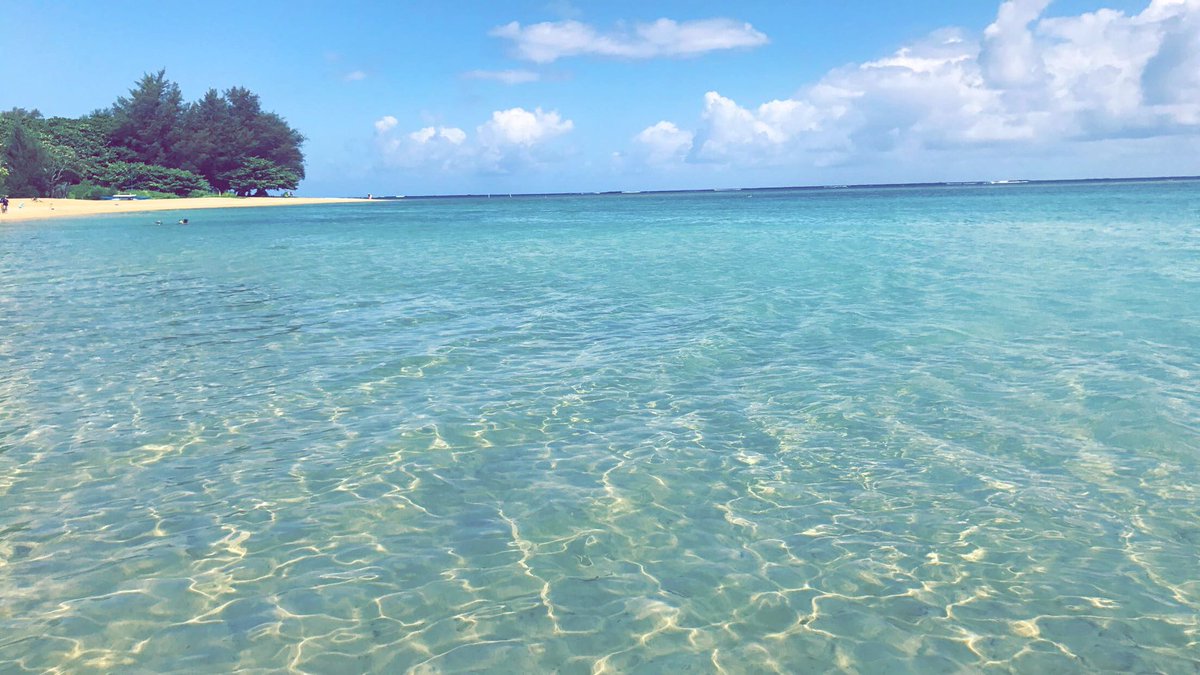 scharfencamp's tweet photo. I could use some Hawaii right about now! 🤤🏝 🌺🍹 https://t.co/iukUL9Sk0o