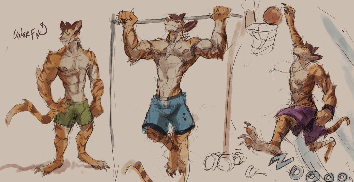 Check out this tiger jock hangin at the gym and on the court! Sketch commission for <a href="/FuriousFluffing/">fluffystuff.bsky.social (leaving 🐦)</a> #tiger #cat #basketball #muscle #bara #furry