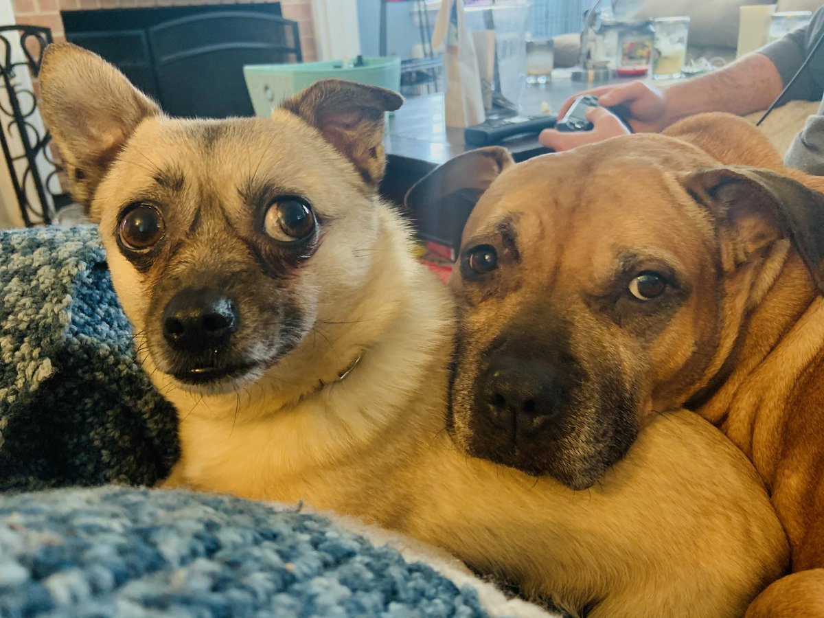 Stephanie O'Connell tweet media