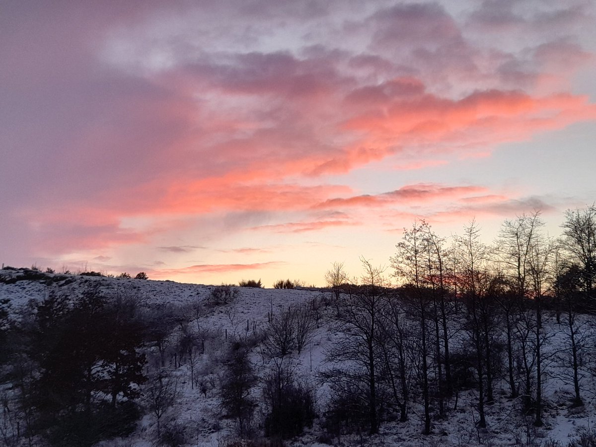 Fabulous to see #RobsonGreen with <a href="/NorthernSecrets/">Northern Secrets Travel & Tours 🇪🇺🇩🇪🇬🇧</a> <a href="/paulmitchinson/">Paul Mitchinson</a> <a href="/MuckleBrewing/">Muckle Brewing</a> <a href="/ratales/">The Rat Inn</a> <a href="/Paulinustours/">Paul tait</a> #TimFoxall Spatularium Man <a href="/EHHadriansWall/">EHHadriansWall</a> Corbridge Roman Fort + Gary Reed in Wall. Really lovely programme showing delights of Hadrian's Wall Country!