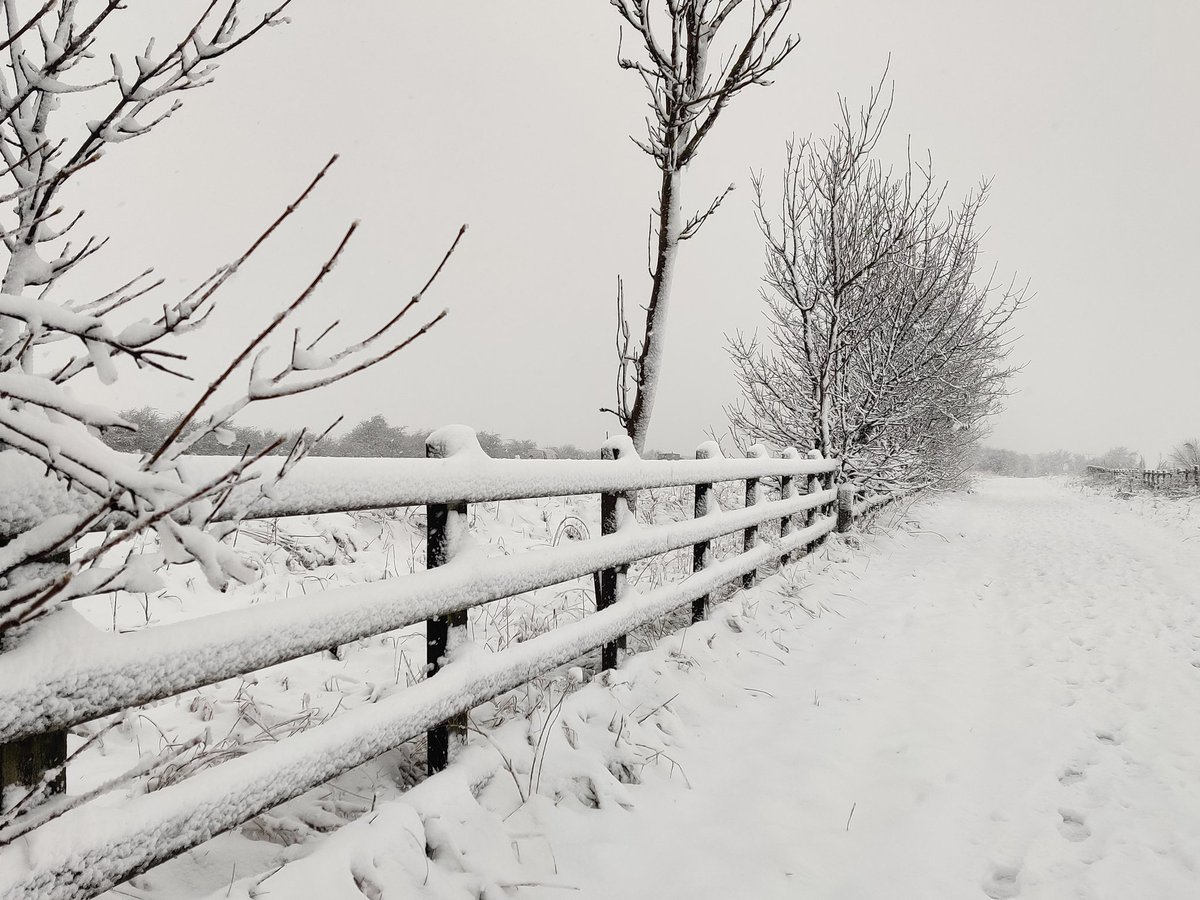 AndreaAndnorth's tweet photo. Another 20,000 👣 done today for the @LCHNHSTrust #pedometerchallenge Beautiful but hard work walking in the snow https://t.co/h9F66lRaWj
