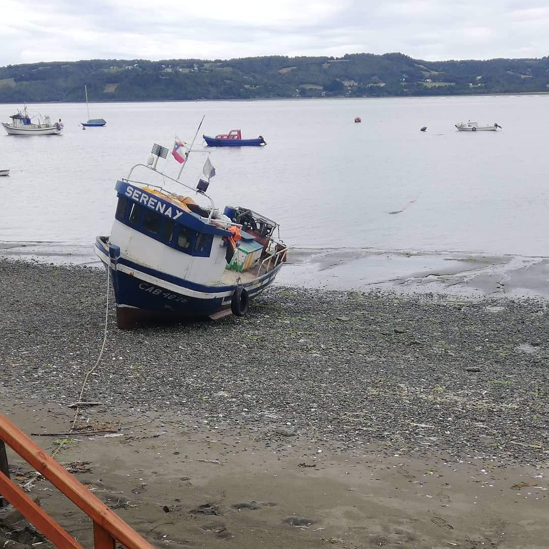 OttoSettegr's tweet photo. città nel sud del Cile, tradizioni, gastronomia e chiesa di legno 100% , #Chiloe #turismo #viaggi
#architetturaSuUnaMoto #MAVLRuta #cile #sernatur https://t.co/SgIw8Icrip